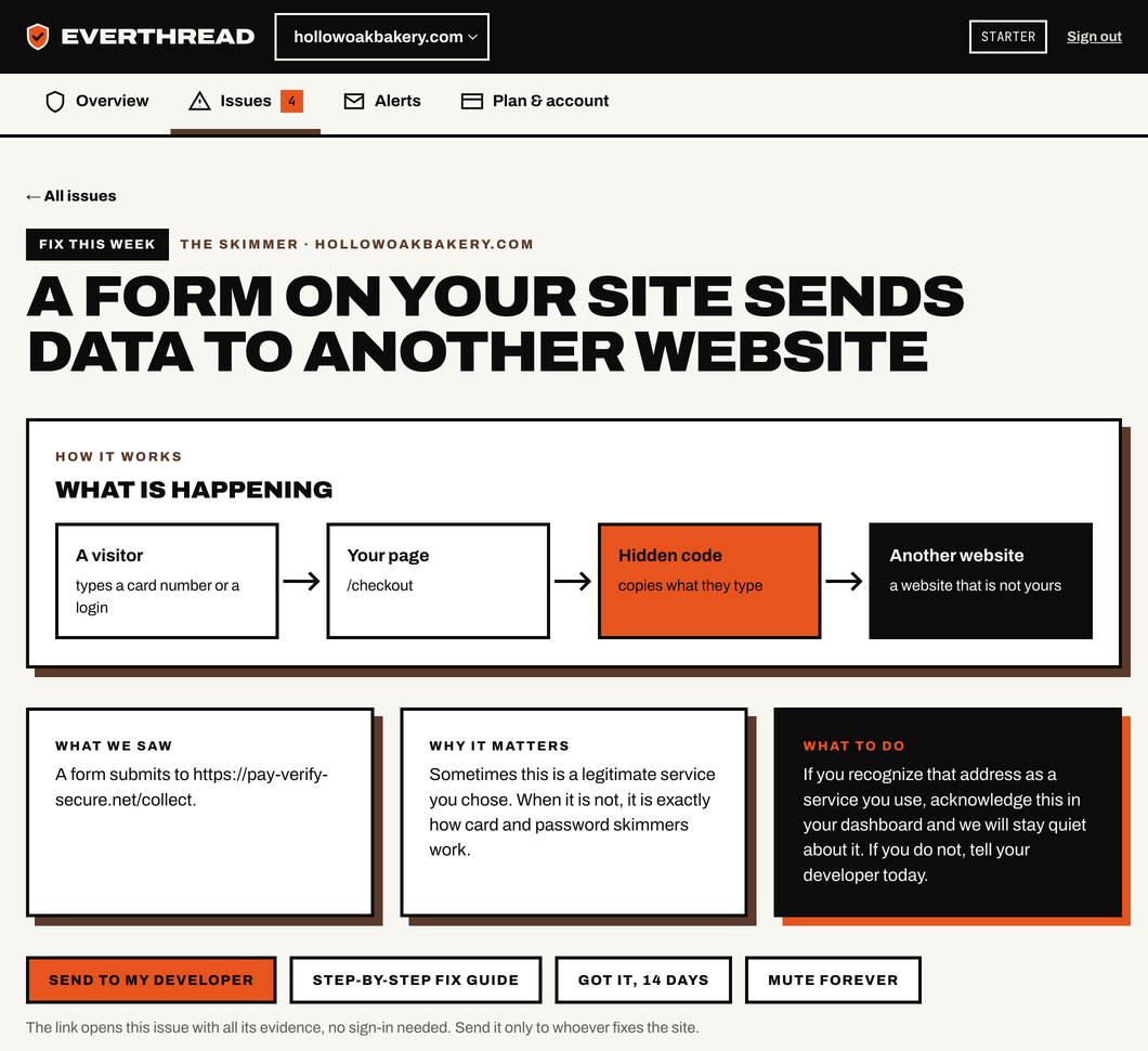 EverThread issue page explaining that a checkout form sends data to another website, with what we saw, why it matters, what to do, and a Send to my developer button